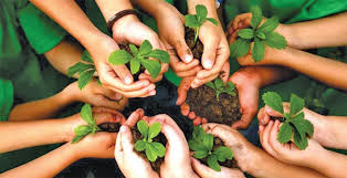 Van Mahotsav