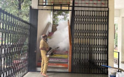 Mosquito Fogging